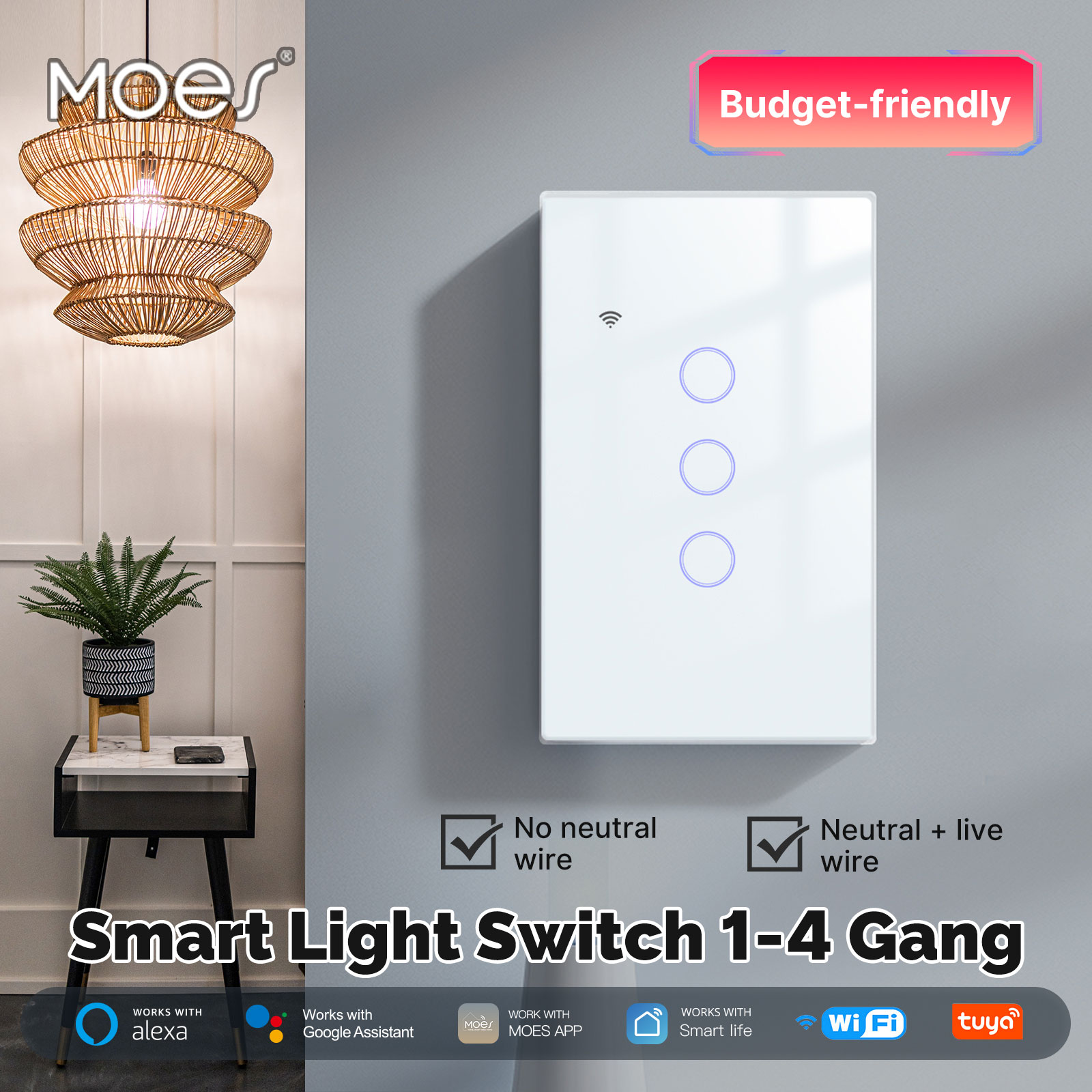 Smart Home Google Assistant - MOES Tuya WiFi Smart Light Switch