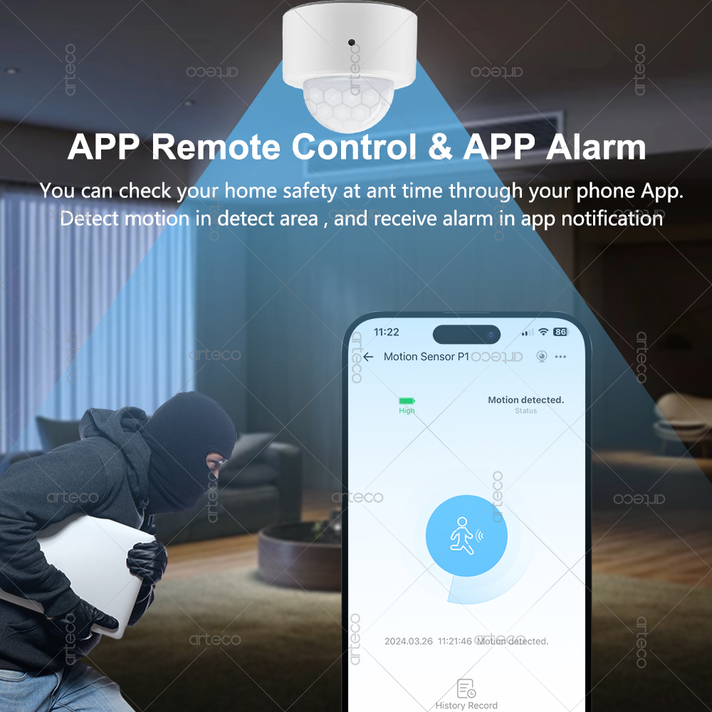 Ewelink Zigbee PIR Motion Sens - огляд і ціна Smart Home Google Assistant